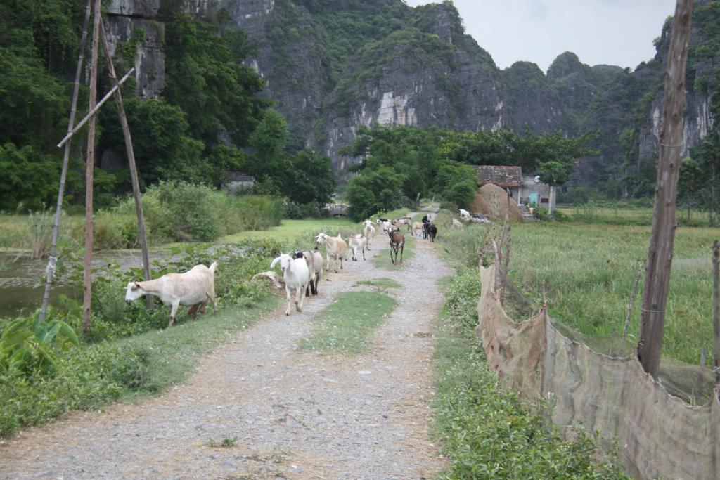 Ninh Binh Valley Homestay ภายนอก รูปภาพ